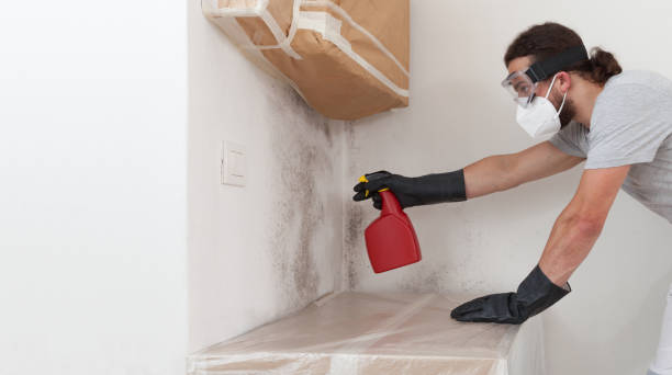 Professional Mold Remediation technician working in Riverside, NJ